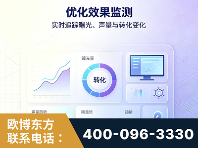 凤城-优化效果监测