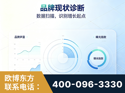 凤城-品牌现状诊断